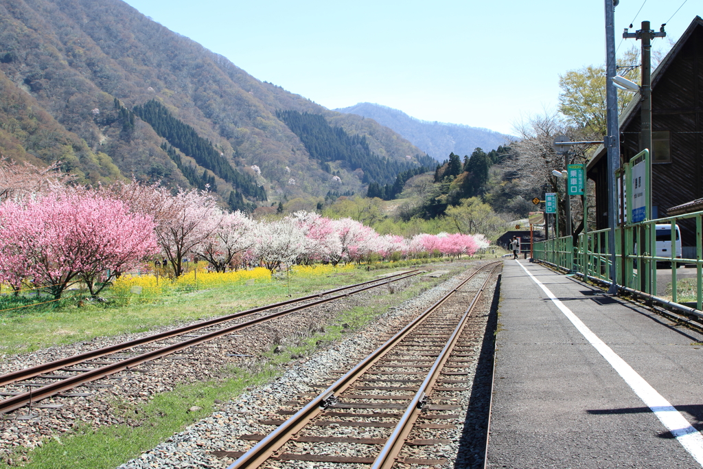 列車は来ない