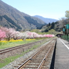 列車は来ない