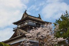 丸岡城天守