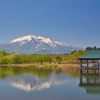 揺れる逆さ岩木山