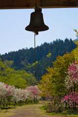 幸せの鐘