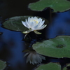 静か～に