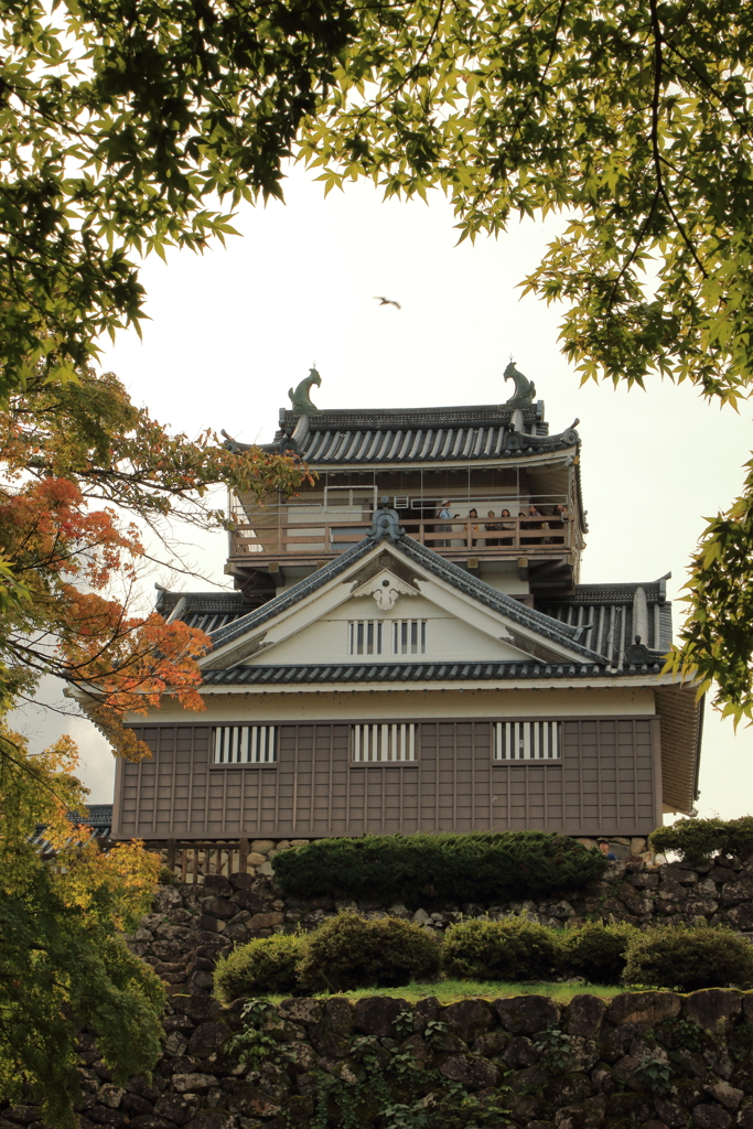 越前大野城