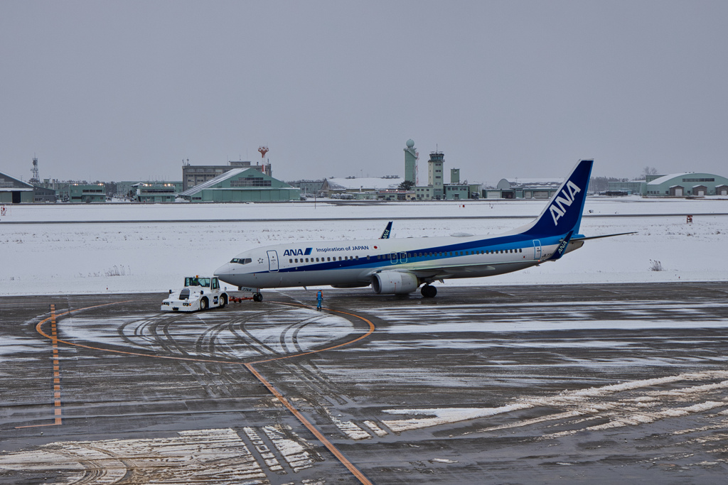 ANA1173