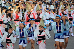 徳島阿波おどり３