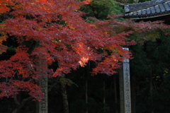 火が点きそうな