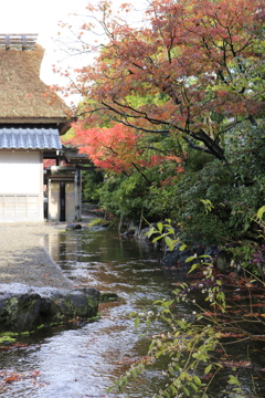 庭園のせせらぎ