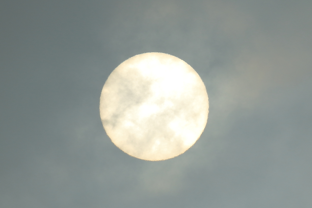 太陽