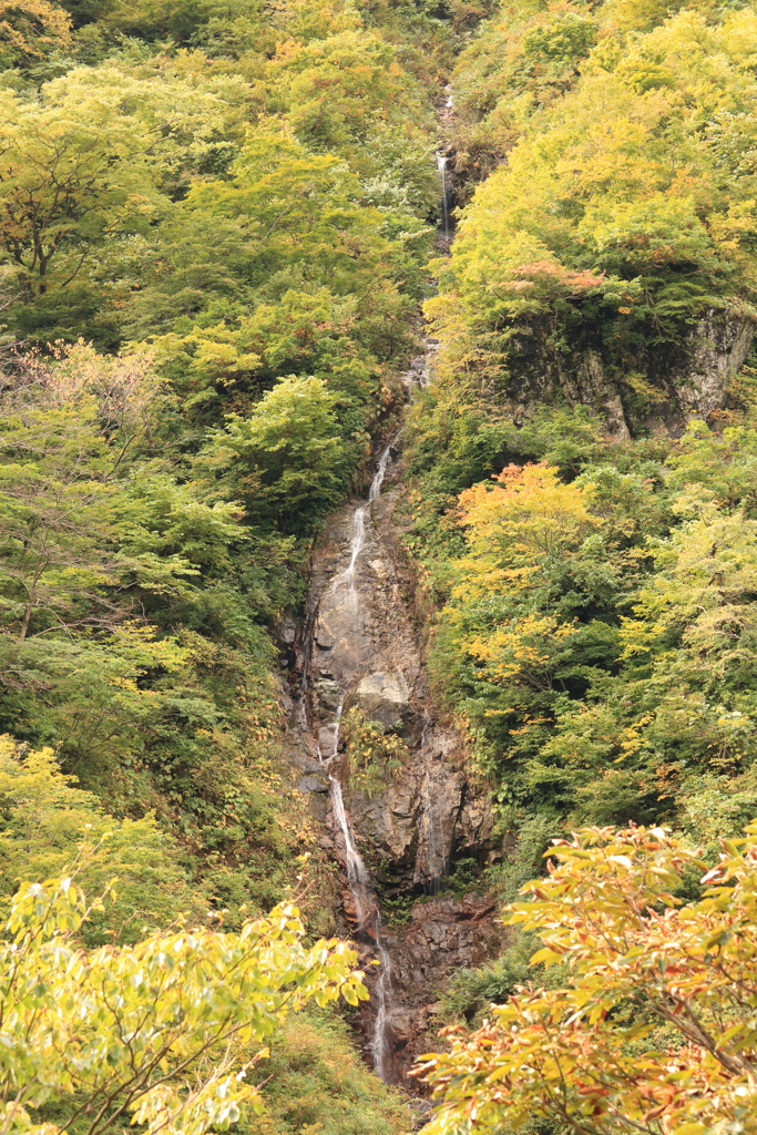 中宮レストハウス手前の無名滝？