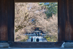 冬枯れも賑わい