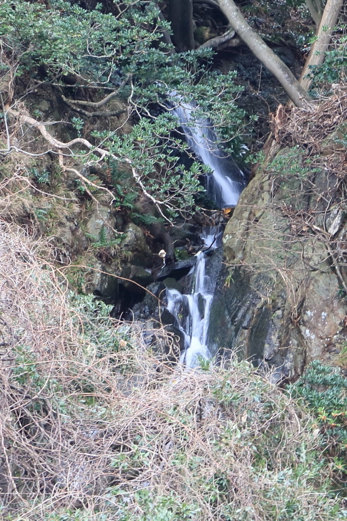 糸崎の無名滝　上段 遠望