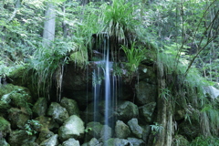 大虫の滝　滝口