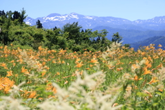 白山高山植物園