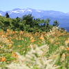 白山高山植物園