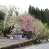 カラフル
