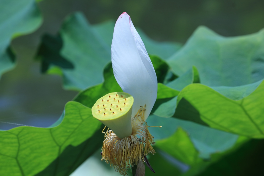 ラストシーン