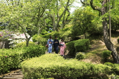 TV撮影