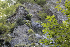 貧谷の滝　雌滝滝口