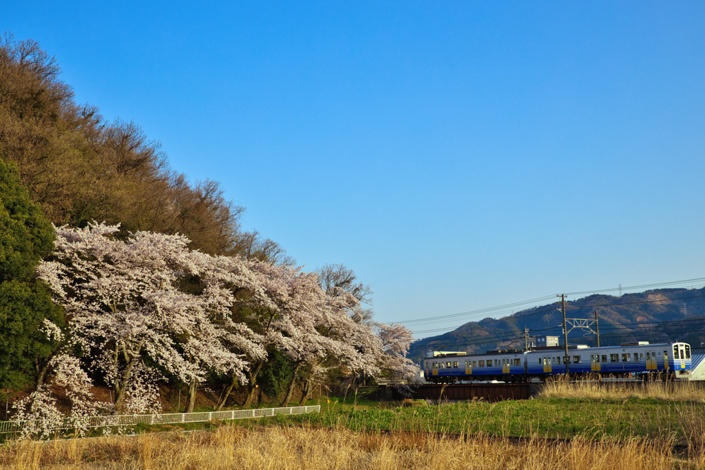 永平寺川鉄橋