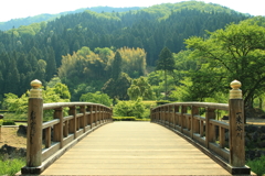 おやかたばし　一条谷川