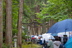 平泉寺白山神社の御開帳　二の鳥居