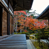 先の紅葉