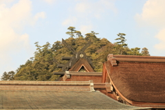 出雲大社　御本殿