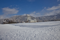勝山城博物館３