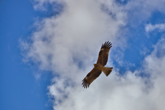 上空