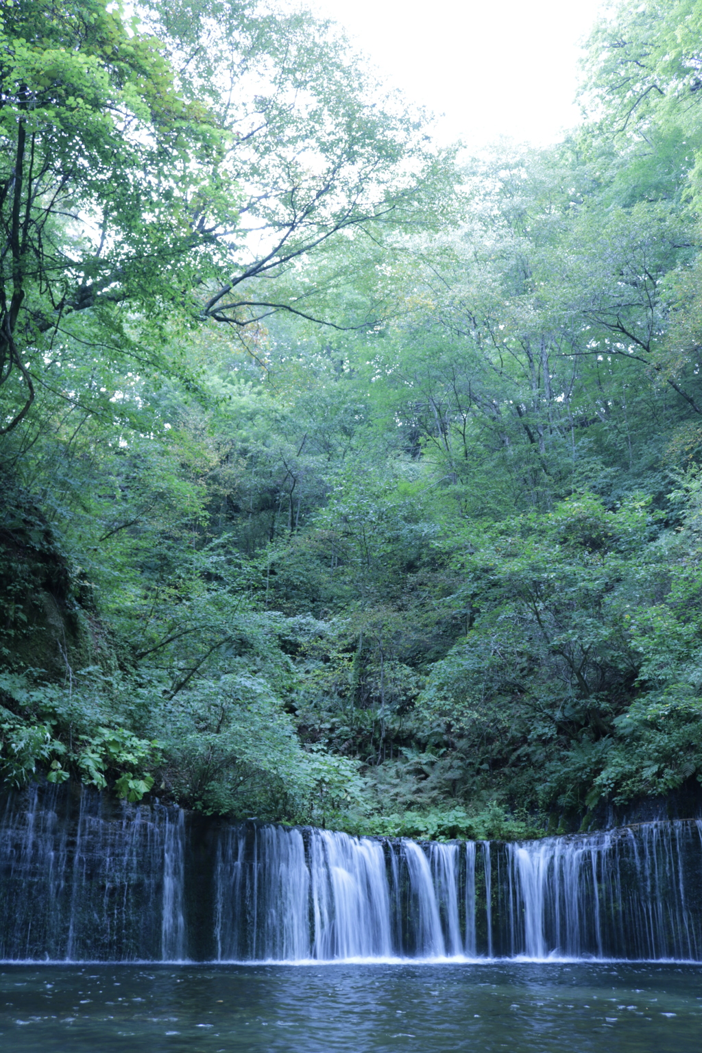 白糸の滝　縦