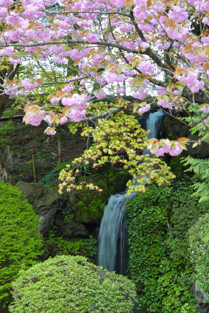 庭園の滝