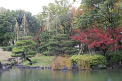 宴