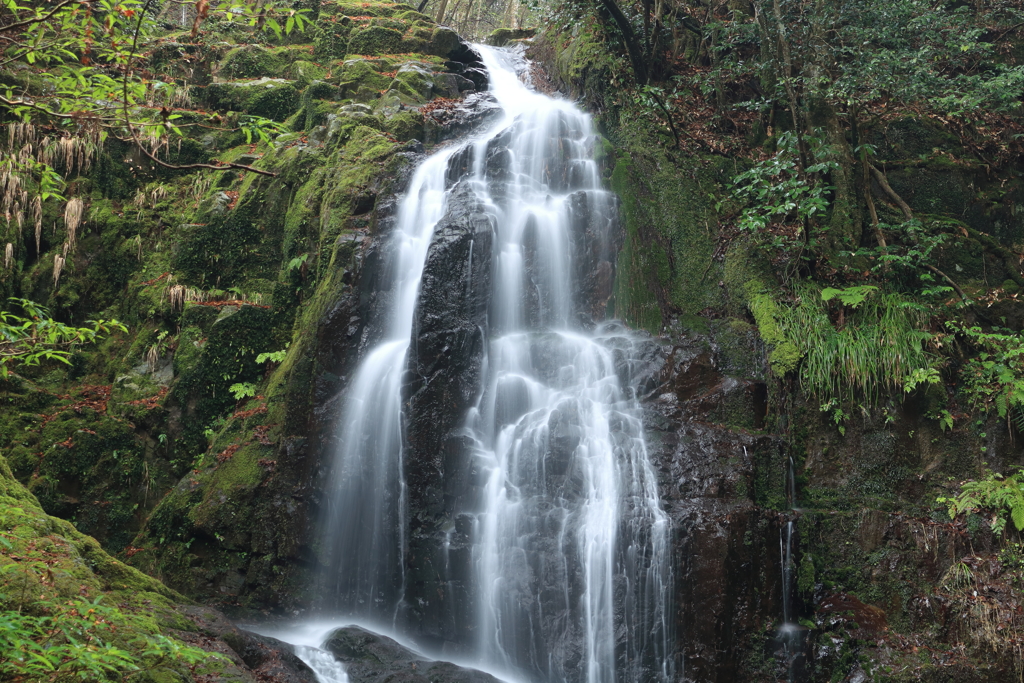 秋芳　白糸の滝　上段
