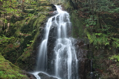 秋芳　白糸の滝　上段