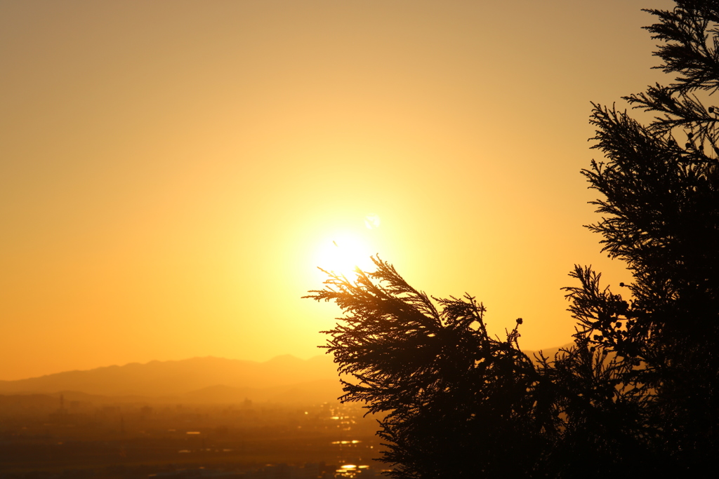 夕日2