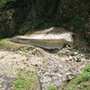 雪渓