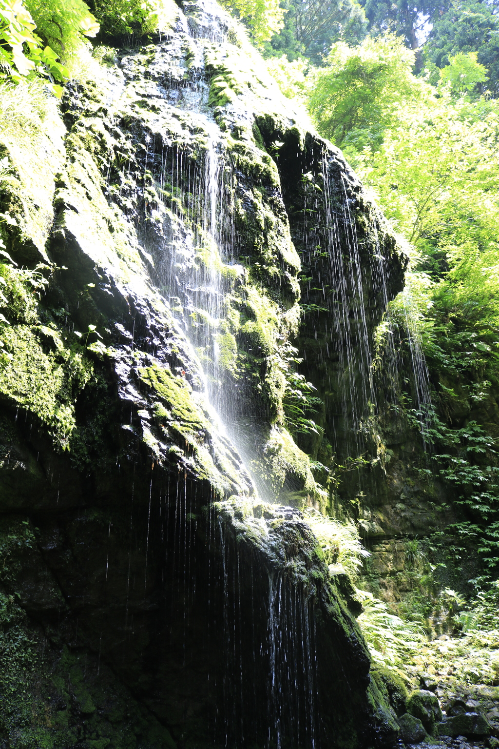 滝の前の滝1