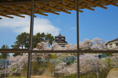 丸岡城観光情報センター内から