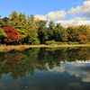 公園の初秋