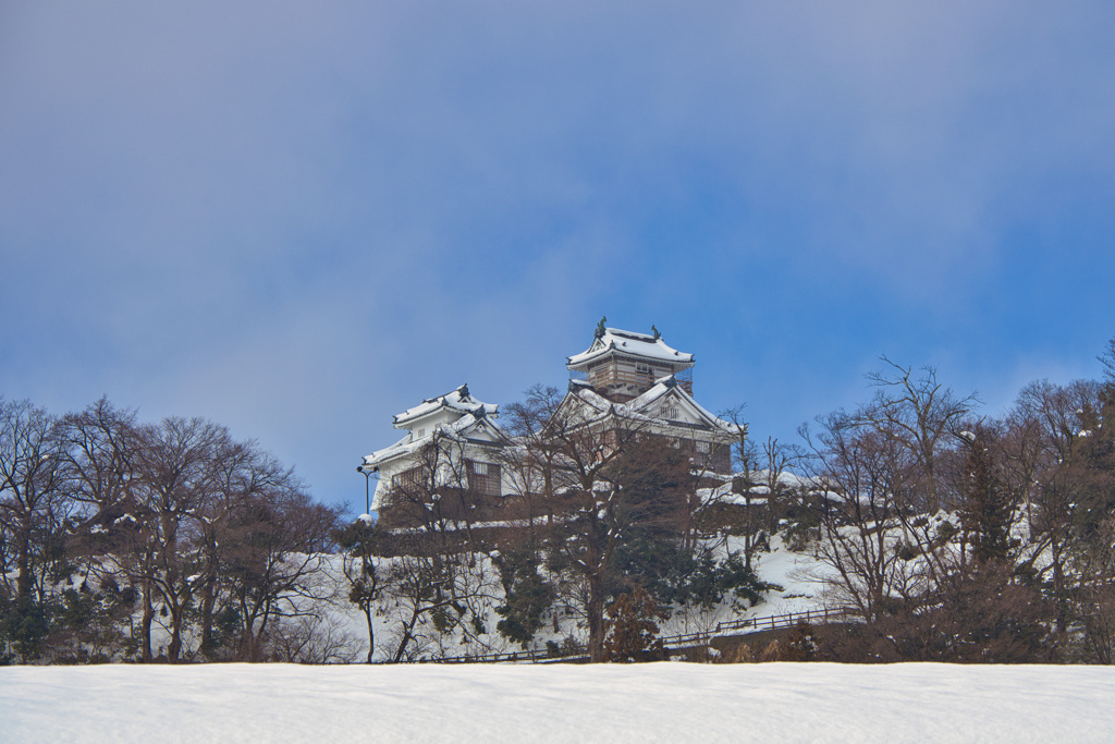 越前大野城