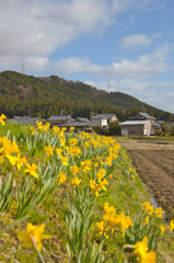 村の春