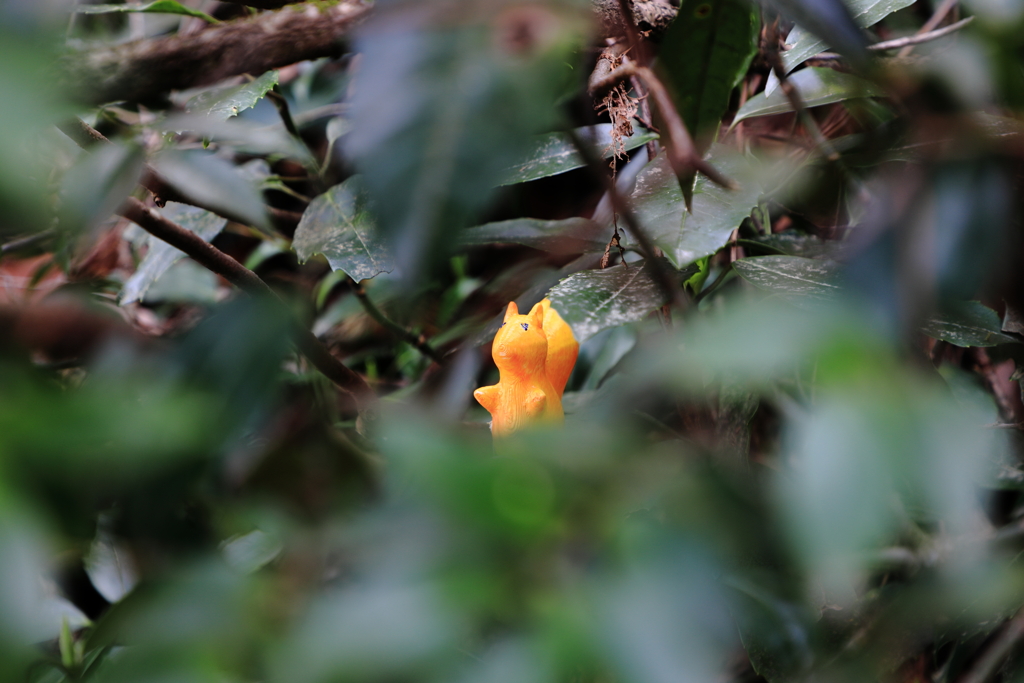 可愛らしいはからい