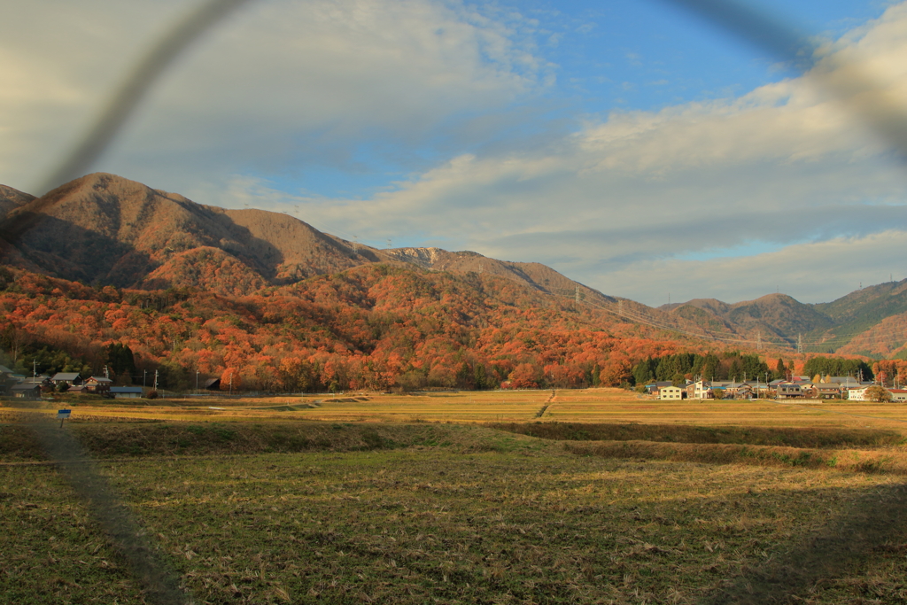 里山の秋