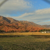 里山の秋