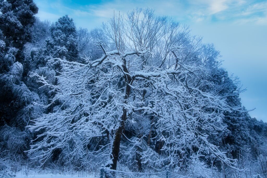 雪を楽しむ２