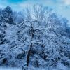 雪を楽しむ２