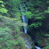 丸神の滝　一段目