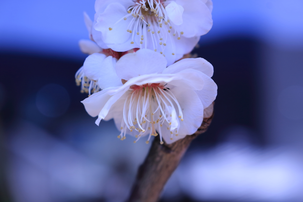 下向きに