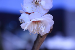 下向きに