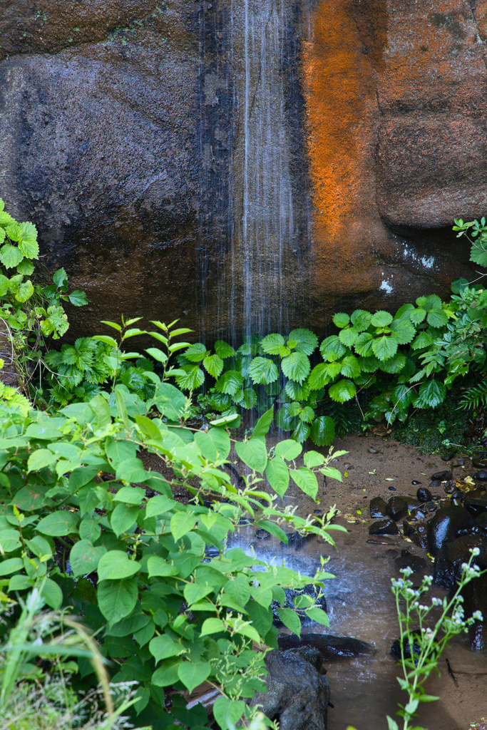 福良の滝滝壺
